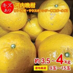 【予約受付】3/15~順次出荷【約3.5~4kg/9~15玉】河内晩柑（厳選発送）ご家庭用・傷あり | 豊富で果肉がやわらかく、さっぱりとした甘味があります。9玉~15玉。