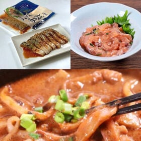 【計600g】おつまみ3点セット（烏賊なめろう・イカゴロ焼き・胡麻サバ）