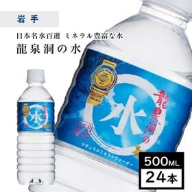 【500ml×24本】岩手県岩泉町 龍泉洞の水 pH8.0弱アルカリ性 ミネラルウォーター