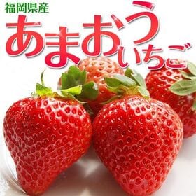 【計4パック(1パック：約270g)】博多あまおう グランデ・デラックス | トップクラスの人気と知名度を誇る「あまおう」