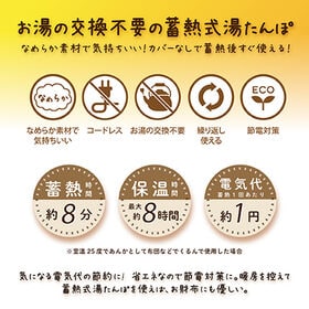 【日替わり数量限定】【ラテベージュ】蓄電式湯たんぽ mini warmer/ミニウォーマー【先行チケット利用NG】