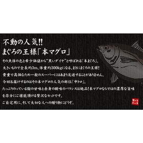 【600g】本マグロ中トロ 解凍レシピ付 [[中トロ300-2p]