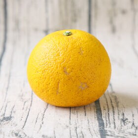 【10kg】八朔(はっさく) ※ご家庭用(サイズ不揃い・枝傷・葉傷・黒点等あり)