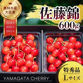 【予約受付】6/10~順次出荷【600g/Lサイズ】山形県産さくらんぼ「佐藤錦」特秀品 【冷蔵】 | 農林水産大臣賞受賞園地が送る『本気のさくらんぼ』！