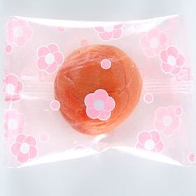 【20個入】一粒づつ袋に入れた農家の梅