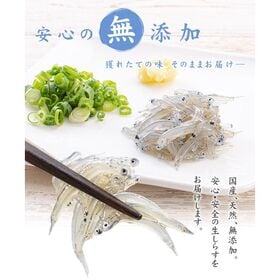 【200g】 瀬戸内海産 生しらす海鮮丼[[生シラス200g]