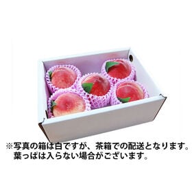 【予約受付】5/20~順次出荷【約1kg(5~6玉】熊本県産 秀品 温室桃 はなよめ