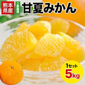 【5kg】甘夏※ご家庭用（傷あり サイズ不選別） | 程よい酸味と濃厚な旨味！
