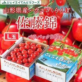 【予約受付】4/20~30順次出荷秀品【500g/Lサイズ】 山形県産ハウスさくらんぼ佐藤錦 | 一足早く山形の味をお届け！今年も美味しさ抜群です！！