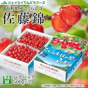 【予約受付】6/5~順次出荷 秀品【1kg(500g)×2/Mサイズ】山形県産さくらんぼ 佐藤錦 | 安心のJAグループが産地直送でお届けします！※6/10-7/5までに順次出荷になります。