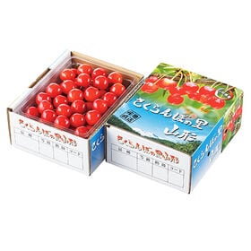 【予約受付】6/5から30までに出荷【秀品】[Lサイズ/約500g]山形県産さくらんぼ 佐藤錦