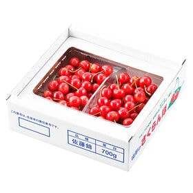 【予約受付】6/5~順次出荷　秀品[Lサイズ/1kg(約500g×2)]山形県産さくらんぼ 佐藤錦