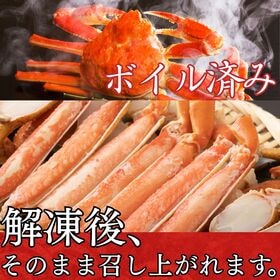 【北海道産】 オオズワイガニ 1.5kg 姿 ボイル （3-6尾）