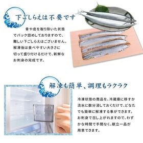 【計16枚入(さんま8尾分)】三陸産お刺身用さんまフィレ16枚入り [[さんま刺身フィーレ-4p]