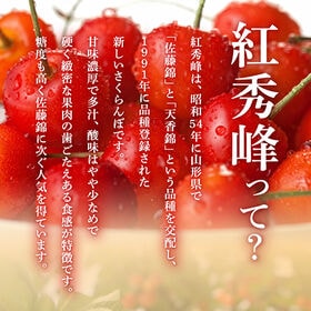 【予約受付】6/20~出荷【約500gパック/Lサイズ以上】山形県産さくらんぼ紅秀峰