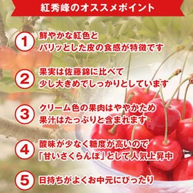 【予約受付】6/20~出荷【約500gパック/Lサイズ以上】山形県産さくらんぼ紅秀峰