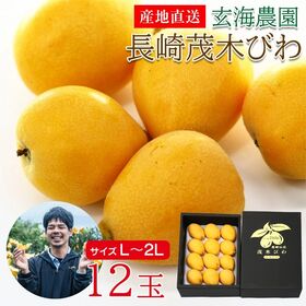 【予約受付】4/15~順次出荷【12玉/L・2Lサイズ】長崎...
