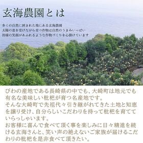 【予約受付】4/15~順次出荷【15玉/Mサイズ】長崎茂木びわ 化粧箱入り