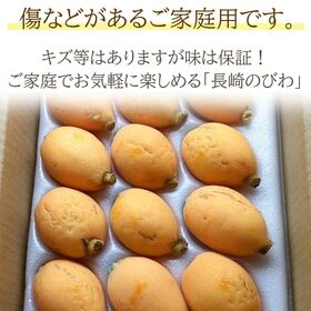 【予約受付】4/15~順次出荷【約1kg(サイズお任せ)/約500g×2箱】長崎茂木びわ ご家庭用