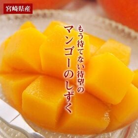 【予約受付】4/10~順次出荷【大玉3Lサイズ×1玉】宮崎完熟マンゴー