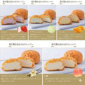 【9個入/1箱】銀座千疋屋 銀座プレミアムシューアイス（※5種フレーバーランダム）