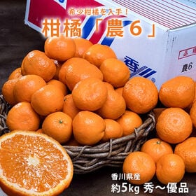 【予約受付】4/6~順次出荷【約5kg(サイズ混合)】香川県産 秀~優品 柑橘「農6」 | 希少柑橘を入手！