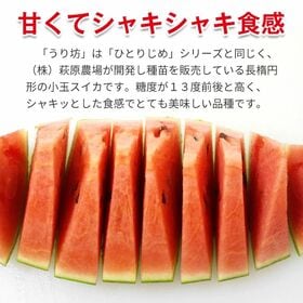 【予約受付】5/20~順次出荷【3~5玉(サイズお任せ)】小玉すいか うり坊