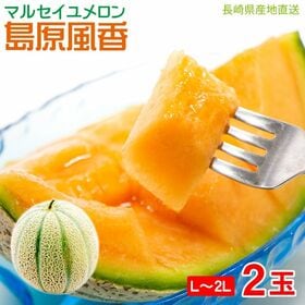 【予約受付】5/30~順次出荷【2玉(L~2L)】マルセイユメロン 島原風香 | なめらかな口あたりと深みのある甘さをお楽しみください。