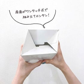 【60枚】使い切りサニタリーBOX　日本製
