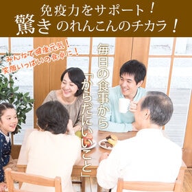 【90g】れんこんパウダー