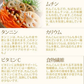 【100g】れんこんパウダー