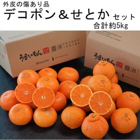 【計約5kg】デコポン約3kg＆せとか約2kg セット　(外皮の傷あり品)