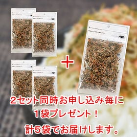 【2袋】半生ふりかけ 北海道秋鮭とちりめんタラ入り※2セット同時申込毎にもう1袋プレゼント！