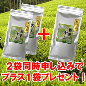 【100g】嬉野茶 粉末タイプ ※2セット同時申込で1袋プレゼント♪ICEならペットボトル200本分