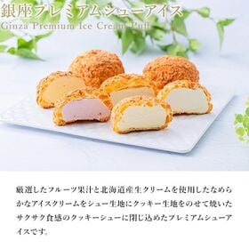 【9個入/1箱】銀座千疋屋 銀座プレミアムシューアイス（※5種フレーバーランダム）