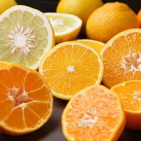 【7kg】初夏セット（ご家庭用・サイズ込・枝傷・黒点等あり）