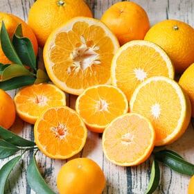 【7kg】初夏セット（ご家庭用・サイズ込・枝傷・黒点等あり）