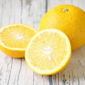 【7kg】黄みかんセット（ご家庭用・サイズ込・枝傷・黒点等あり）