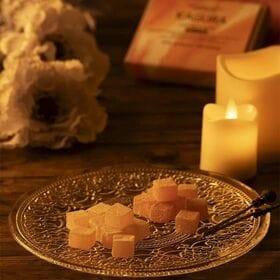 【賞味期限間近】【5箱セット】KAGURA パート・ド・フリュイ 琥珀の記憶 1箱20粒入り