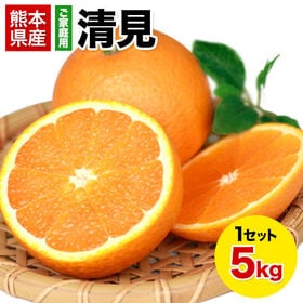 【5kg】清見※ご家庭用（傷あり サイズ不選別） | デコポンの生みの親！