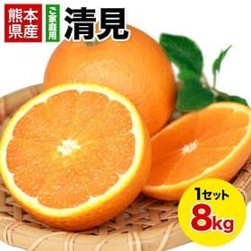 【8kg】清見※ご家庭用（傷あり サイズ不選別） | デコポンの生みの親！