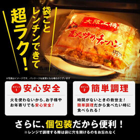 【3種/計30袋】大阪王将 人気チャーハン3種セット（エビ塩・直火炒め・豚カルビ）