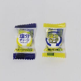 【2種・計30個】塩分チャージタブレッツ