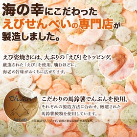 【無選別】えびせんべい4種500g4種 の えびせんべい ミックス 常温便