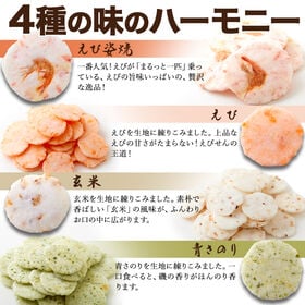 【無選別】えびせんべい4種500g4種 の えびせんべい ミックス 常温便