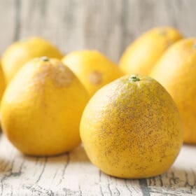 【8kg】宇和島ゴールド ※葉傷・枝傷・黒点等の傷あり、サイズ込み