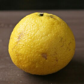 【7kg】愛媛県産はるか 家庭用)