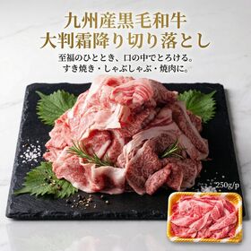 【250g】九州産黒毛和牛 霜降り大判切り落とし 《感謝とねぎらいを込めて》 | 九州が誇る「極上の霜降り」。大判切り落としで、口いっぱいに広がる幸福感を。
