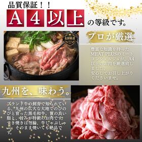 【計500g/250g×2P】九州産黒毛和牛 霜降り大判切り落とし 《感謝とねぎらいを込めて》