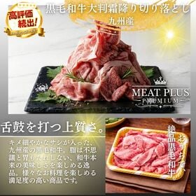 【計1kg/250g×4P】九州産黒毛和牛 霜降り大判切り落とし 《感謝とねぎらいを込めて》